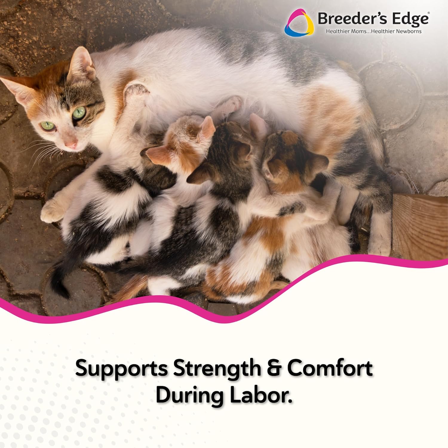 Breeder's Edge Oral Cal Plus Gel, Whelping and Queening Calcium Supplement Gel for Dogs and Cats Delivers 3 Calcium Sources in Labor to Support Strong and Normal Contractions, 30ml Paste image 2