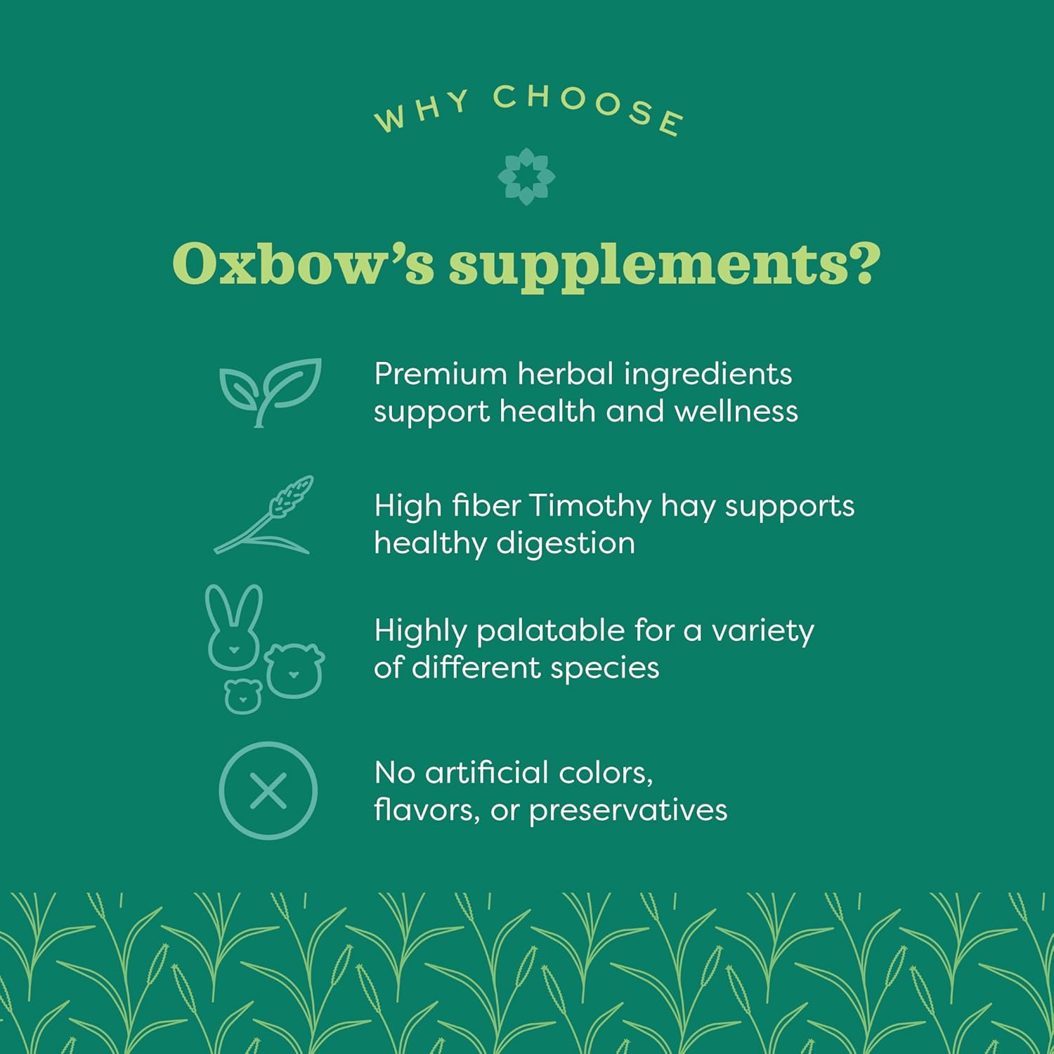 Oxbow Natural Science Joint Support, Anti Inflammatory Supplement for Rabbit & Guinea Pig, Oxbow Timothy Hay, Made with Glucosamine, Turmeric, & Yucca, Made in USA, 4.2 oz Bag image 3