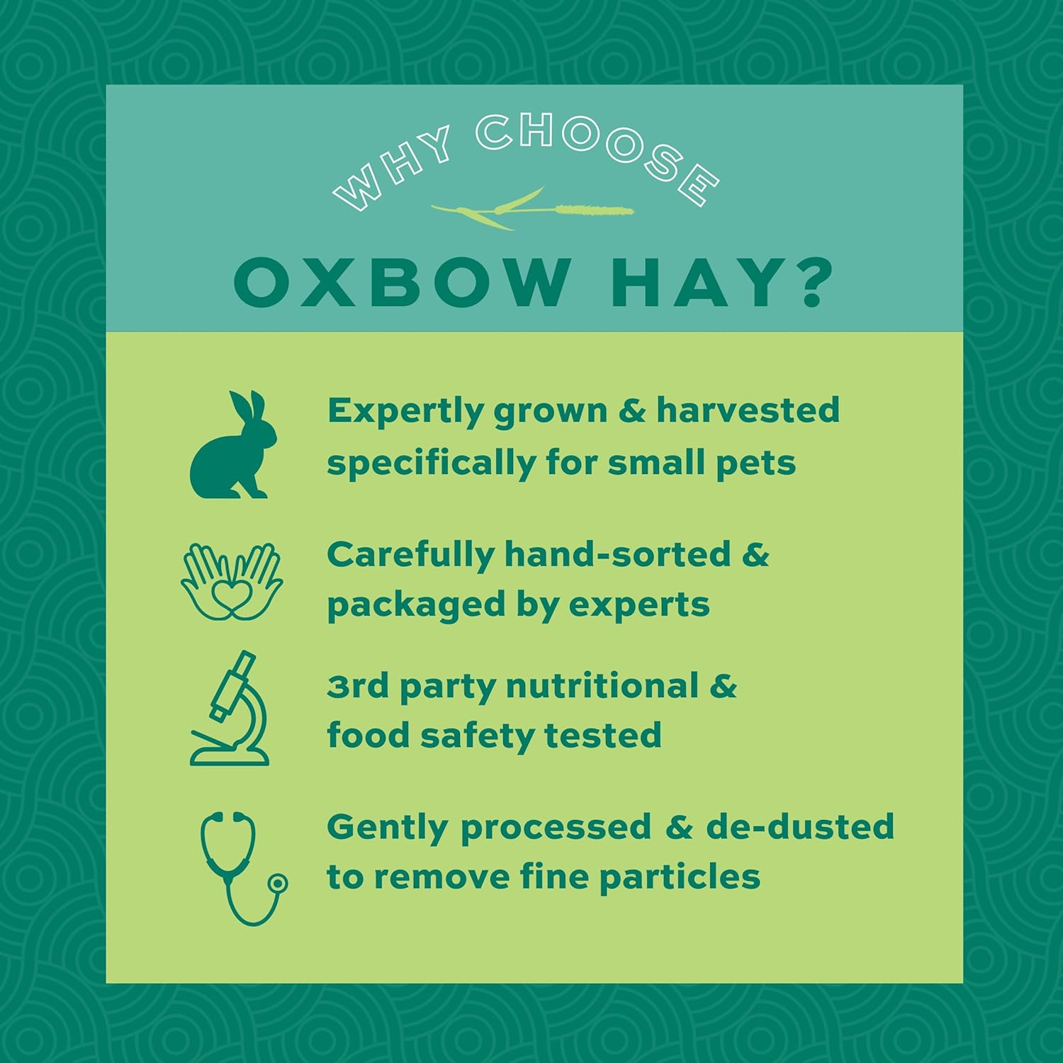 Oxbow Western Timothy Hay, Guinea Pig Hay, Small Pet Bunny Supplies, All Natural Grass for Guinea Pig, Bunny, Chinchilla & Hamster, Oxbow Rabbit Supplies for Bunnies, 90 oz. bag image 5