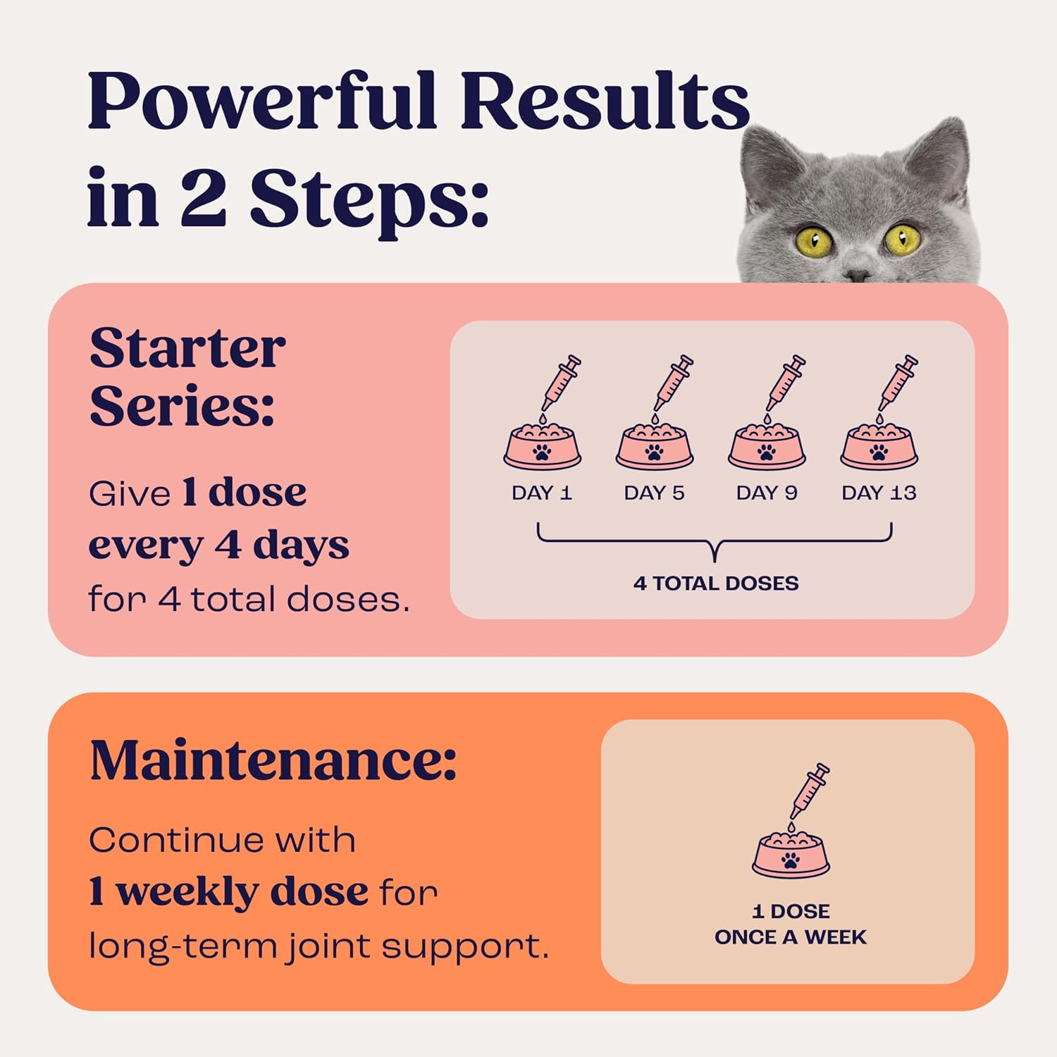 Summit Feline Pain Relief Supplement Inflammation Hip & Joint Support Vitamin for Cats - Natural Chrondroitin with Liposomal Delivery for Arthritis - Drug Free - All Ages image 5